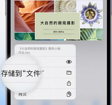 温县apple维修中心分享iPhone文件应用中存储和找到下载文件