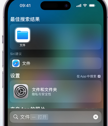 温县apple维修中心分享iPhone文件应用中存储和找到下载文件 