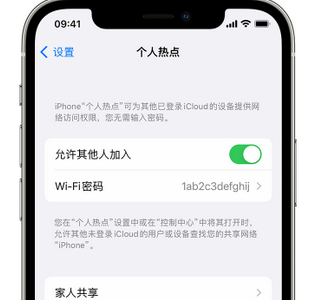 温县apple服务站点分享iPhone上个人热点丢失了怎么办 