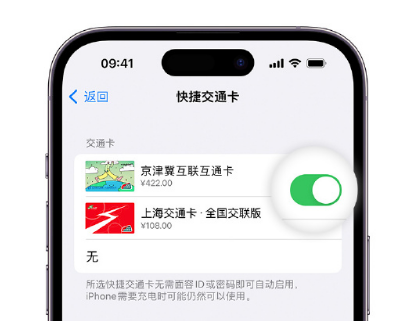 温县apple维修点分享iPhone上更换Apple Pay快捷交通卡手绘卡面 