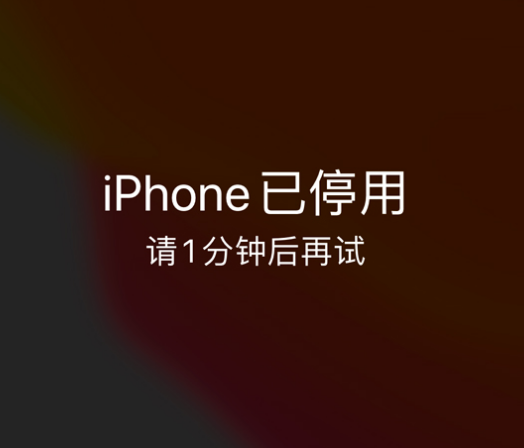 温县苹果手机维修分享:iPhone 显示“不可用”或“已停用”怎么办？还能保留数据吗？ 