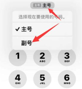 温县苹果14维修店分享iPhone 14 Pro Max使用副卡打电话的方法 