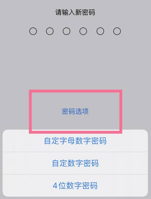 温县苹果14维修分享iPhone 14plus设置密码的方法 