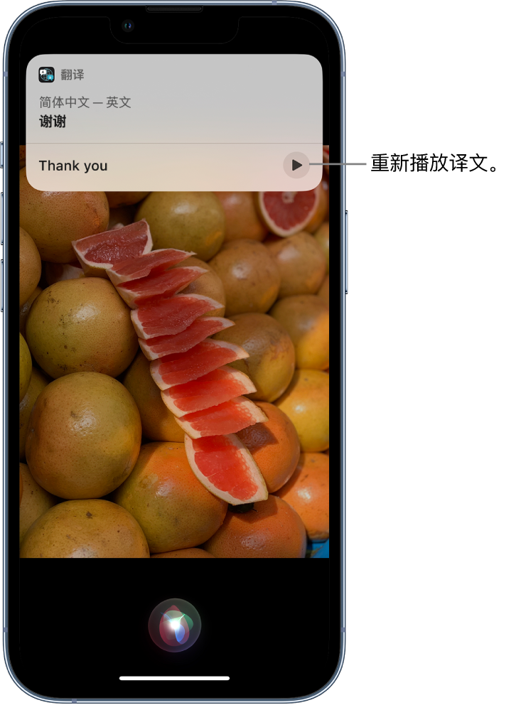 温县苹果14维修分享 iPhone 14 机型中使用 Siri：了解 Siri 能帮你做什么 