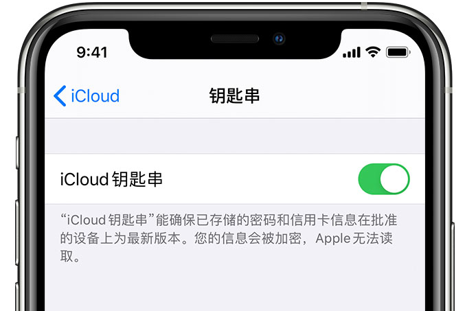 温县苹果手机维修分享在 iPhone 上开启 iCloud 钥匙串之后会储存哪些信息 