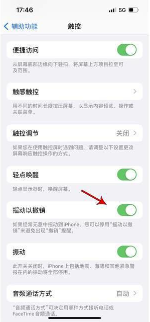 温县苹果手机维修分享iPhone手机如何设置摇一摇删除文字 